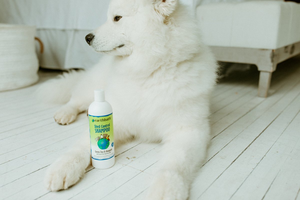 EARTHBATH Shed Control Green Tea & Awapuhi Dog & Cat Shampoo, 16oz