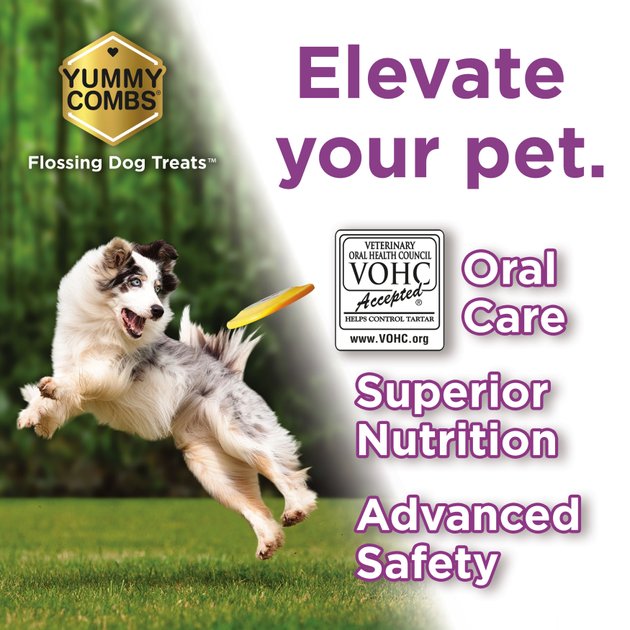 Yummy Combs - Elevate Your Dog's Health!