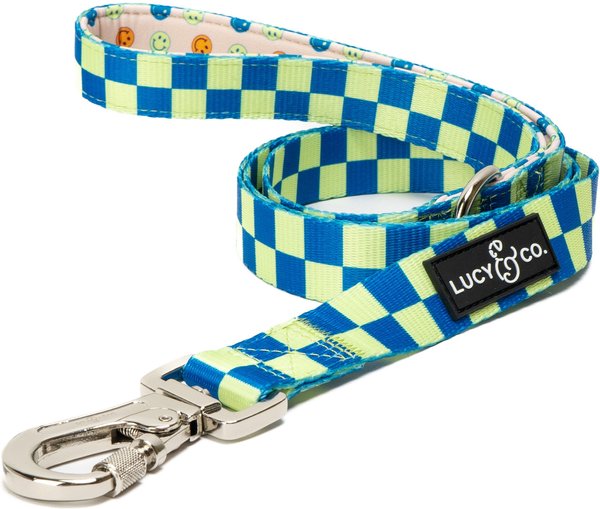 LUCY & CO. The Have a Nice Day Polyester Padded Handle Dog Leash, Blue ...