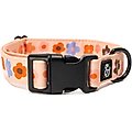 Lucy & Co. The Let's Groove Polyester Dog Collar, Coral, Medium: 13 to 20-in neck, 1-in wide