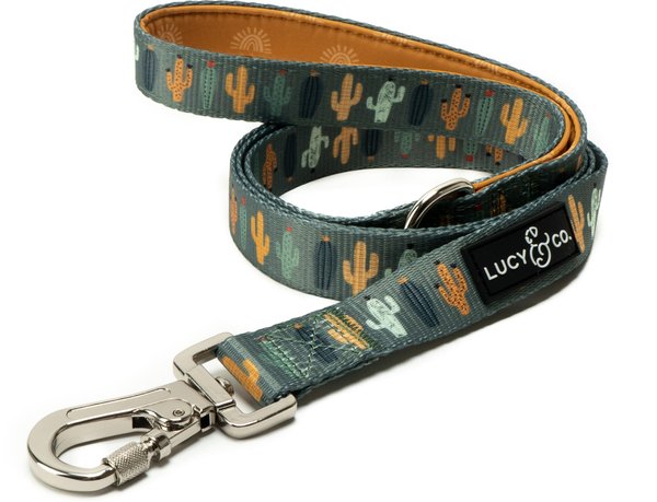 Chewy Collar & Leash