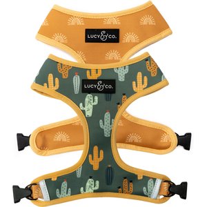 Lucy & Co. The Looking Sharp Reversible Dog Harness, Green, Medium: 17 to 23-in chest