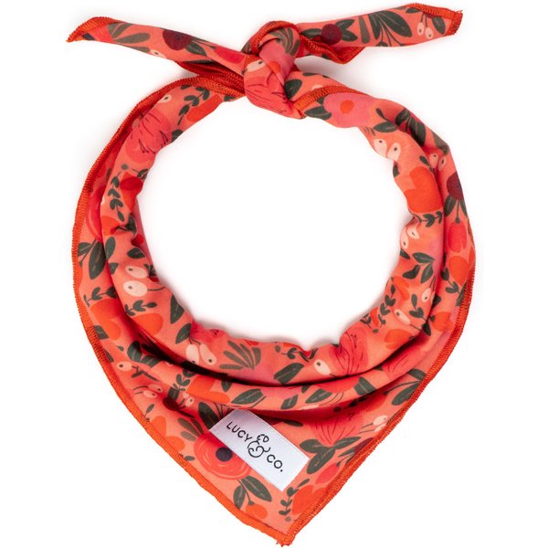 Lucy & Co. The Fa La La Dog Bandana, Red/White