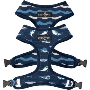 Lucy & Co. The Shark Attack Reversible Dog Harness, Blue, X-Small: 12 to 15-in chest