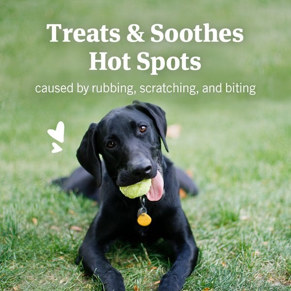 PetArmor Hot Spot Skin Remedy Non-Stinging Formula for Dogs