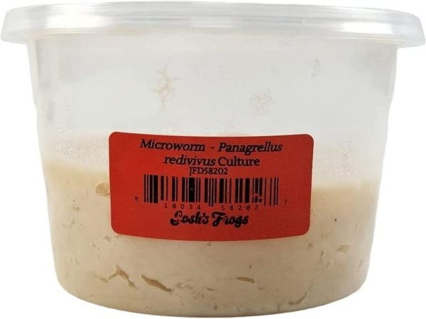 Josh's Frogs Microworm Panagrellus Culture, 16-oz
