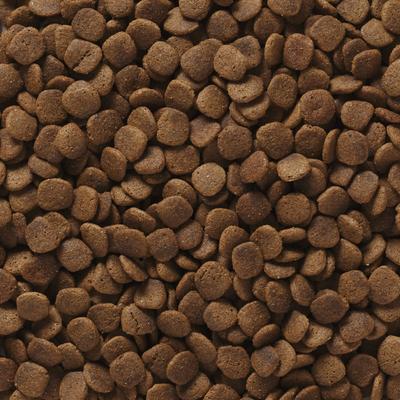 Show full view: Ultimates Chicken Meal & Brown Rice Large Breed Puppy Dry Dog Food, 28-lb bag slide 4 of 8