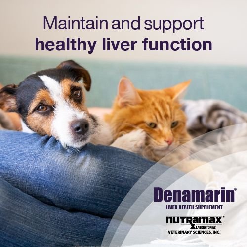 Dog liver 2025 supplement denamarin