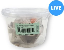 Josh's Frogs Banded Crickets Live Feed Reptile Food, 1/4-in, 120