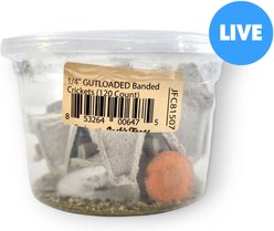 Josh's Frogs Gutloaded Banded Crickets Live Feed Reptile Food, 1/4-in, 120 count