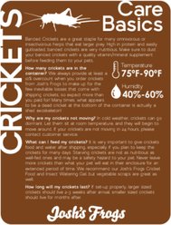 Josh's Frogs Gutloaded Banded Crickets Live Feed Reptile Food, 1/4-in, 120 count slide 2 of 9