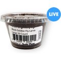 Josh's Frogs Black Soldier Fly Larvae Live Feed Reptile Food, Large, 50