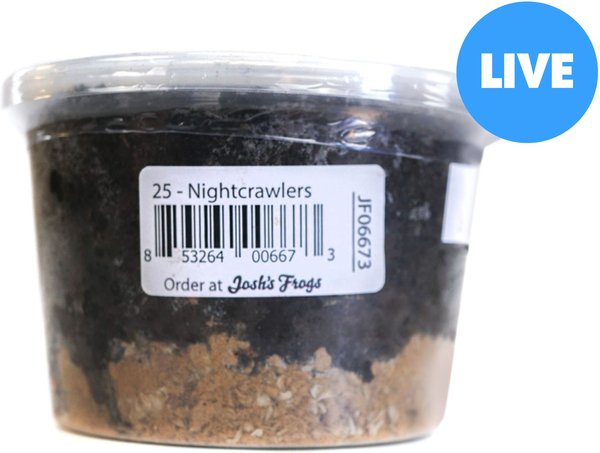 JOSH'S FROGS Canadian Nightcrawlers/Earthworms Live Feed Reptile Food, 25  count 