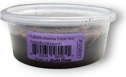 Josh's Frogs Cubaris Murina 'Little Sea' Isopods Live Feed Reptile Food, 10 count slide 2 of 9