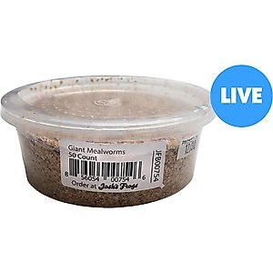 Josh's Frogs Giant Mealworms Live Feed Reptile Food, 50 count