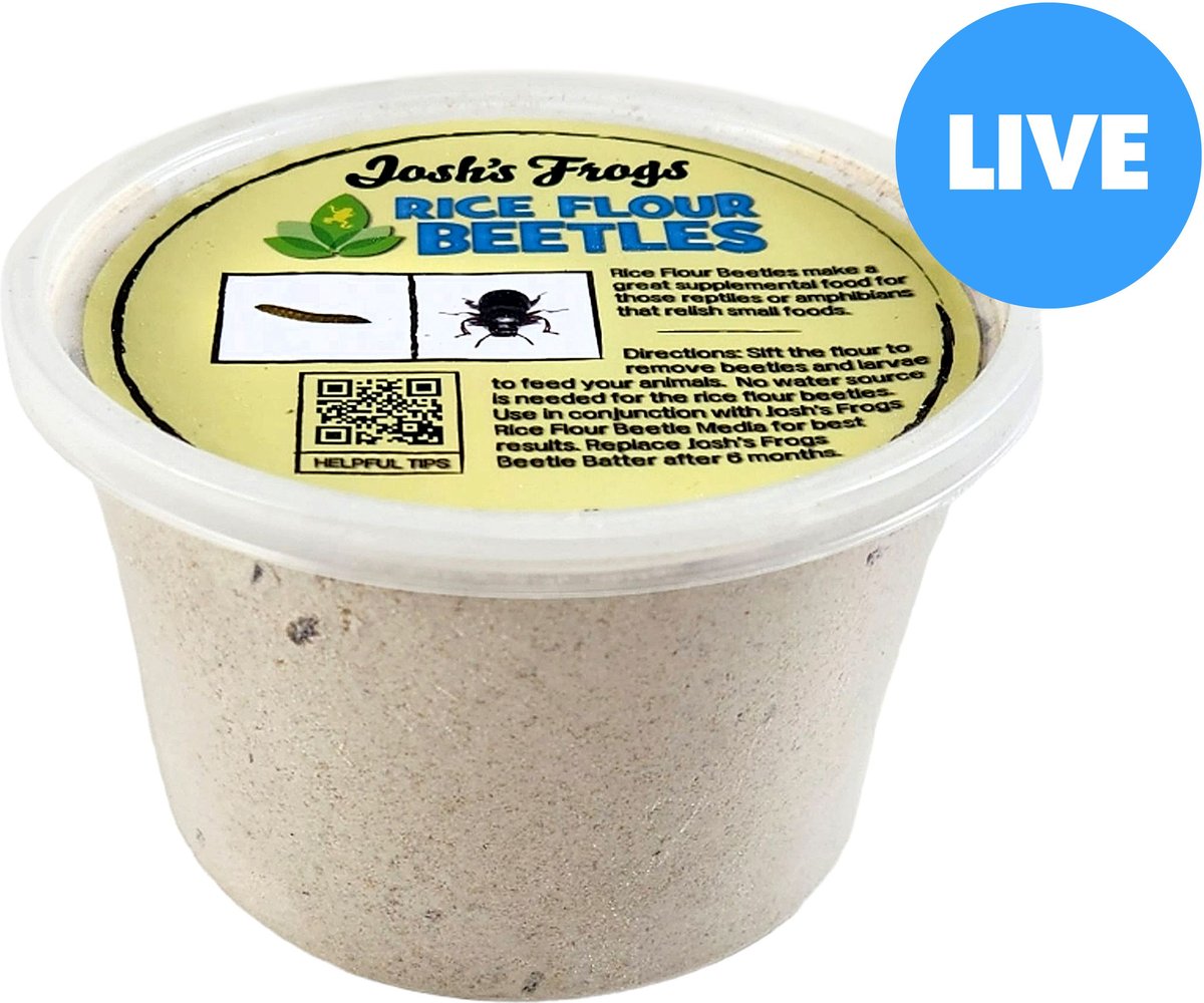 JOSH'S FROGS Rice Flour Beetle Culture Live Feed Reptile Food, 16oz