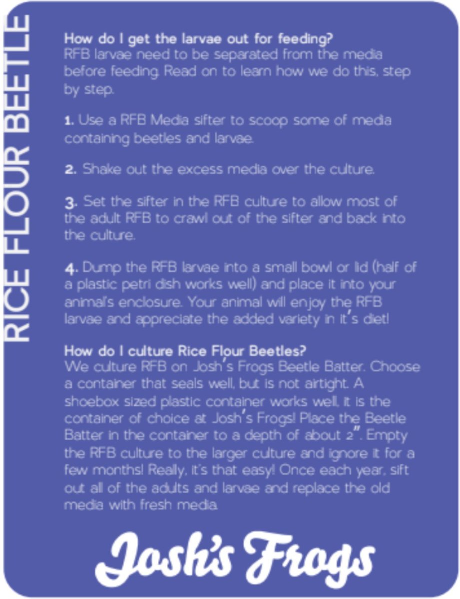 JOSH'S FROGS Rice Flour Beetle Culture Live Feed Reptile Food, 16oz