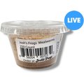 Josh's Frogs Mealworms Live Feed Reptile Food, 250 count