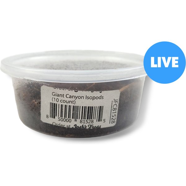 Josh's Frogs Porcellio Scaber 'Orange' Isopods Live Feed Reptile Food, 10 count