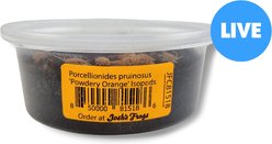 Josh's Frogs Porcellionides Pruinosus 'Powder Orange' Isopods Live Feed Reptile Food, 10 count