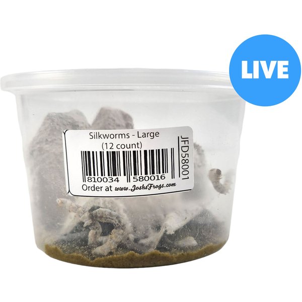 Pioneer Feeders Silkworms Live Reptile Food