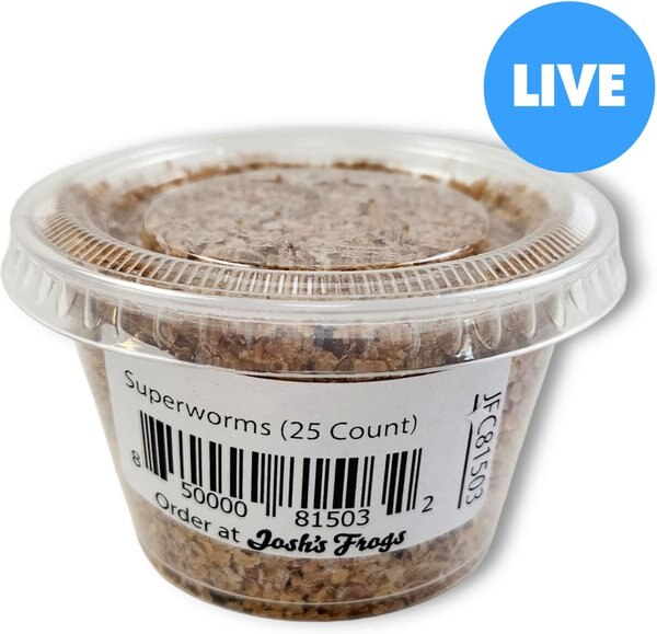 50 Live Superworms - Premium Reptile Food For Bearded Dragons, Leopard Geckos & More
