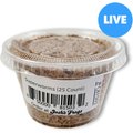 Josh's Frogs Superworms Live Feed Reptile Food, 25