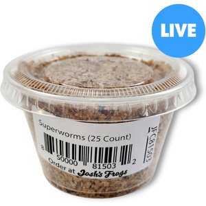 Josh's Frogs Superworms Live Feed Reptile Food, 25 count