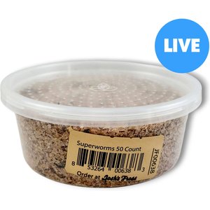 Josh's Frogs Superworms Live Feed Reptile Food, 50