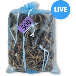 Josh's Frogs Superworms Live Feed Reptile Food, 500 count