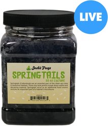 Josh's Frogs Temperate Springtail Collembola Culture Live Feed Reptile Food, 32-oz tub