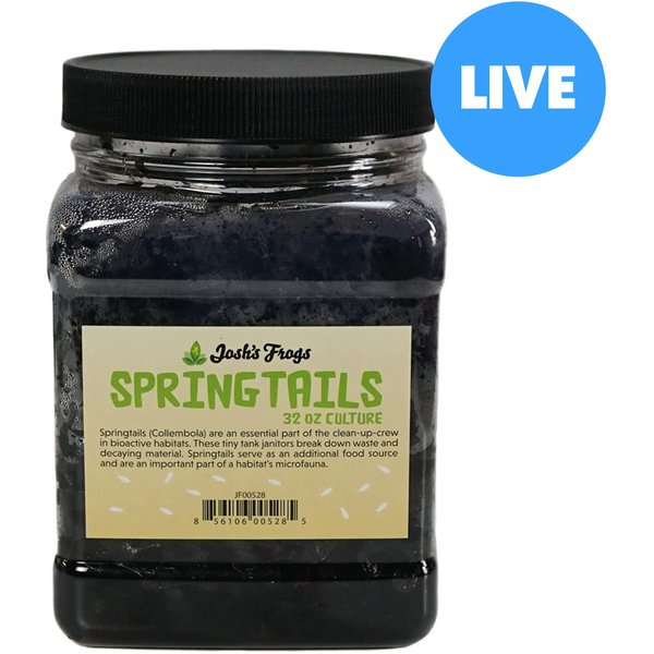 JOSH'S FROGS Bioactive Bundle Live Feed Reptile Food: Dwarf Tropical ...