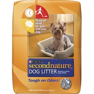 why don t dogs use litter boxes