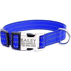 Mimi Green Nylon Personalized Reflective Hybrid Buckle Dog Collar, Royal Blue, Large
