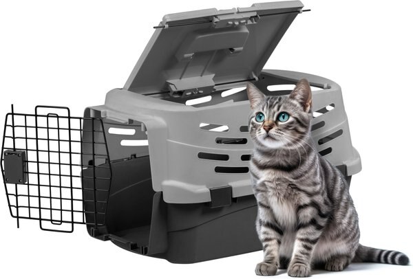 IRIS Mesh Dog & Cat Carrier, Small