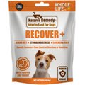 Whole Life Recover Pumpkin & Yogurt Freeze-Dried Dog Food, 16-oz bag