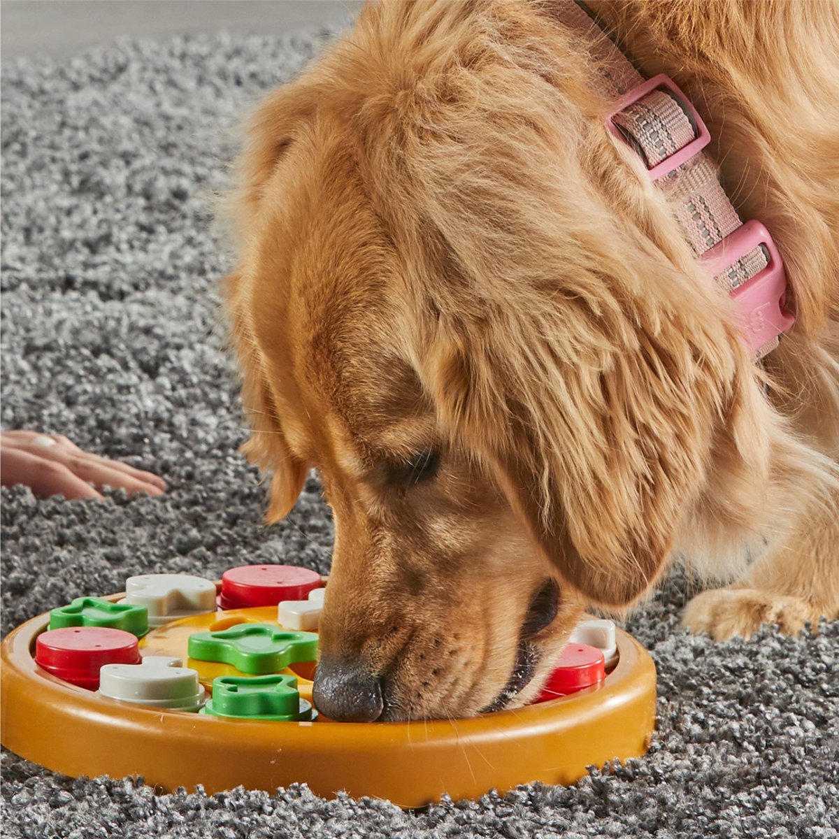 BRIGHTKINS Pizza Party! Treat Puzzle Dog toy 