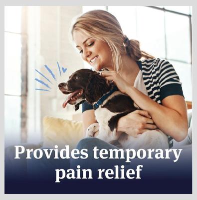 Show full view: PetArmor Aspirin Liver Flavored Chewable Tablet Pain Relief for Large & X-Large Dogs, 120-count bottle slide 4 of 8