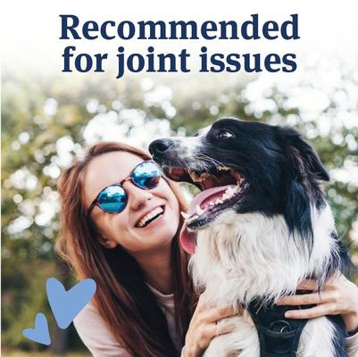 Show full view: PetArmor Aspirin Liver Flavored Chewable Tablet Pain Relief for Large & X-Large Dogs, 120-count bottle slide 6 of 8