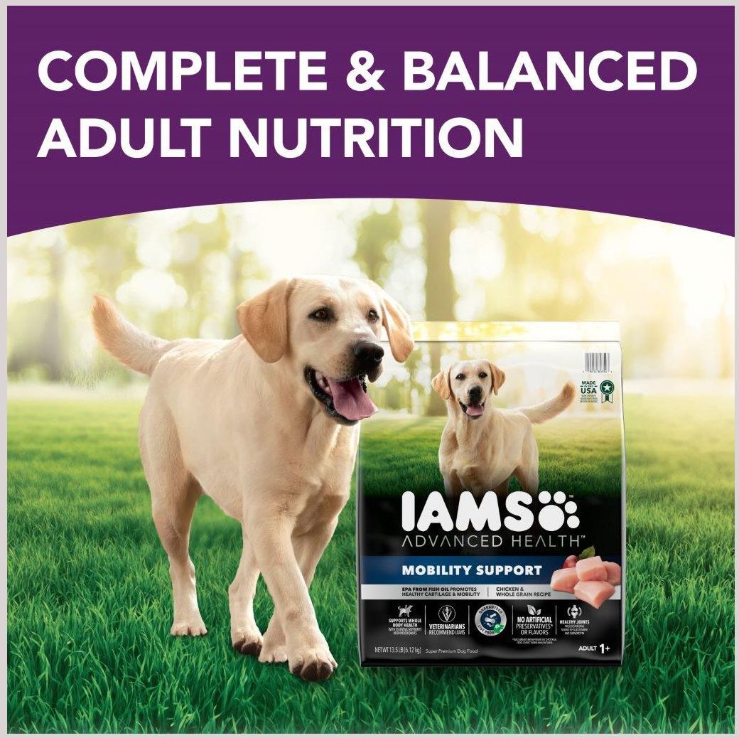 Mobility support dog on sale food