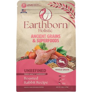 Earthborn holistic great on sale plains feast petsmart