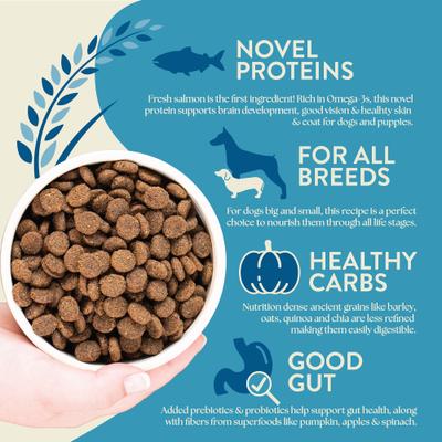 Show full view: Earthborn Holistic Unrefined Smoked Salmon with Ancient Grains & Superfoods Dry Dog Food, 4-lb bag slide 5 of 10