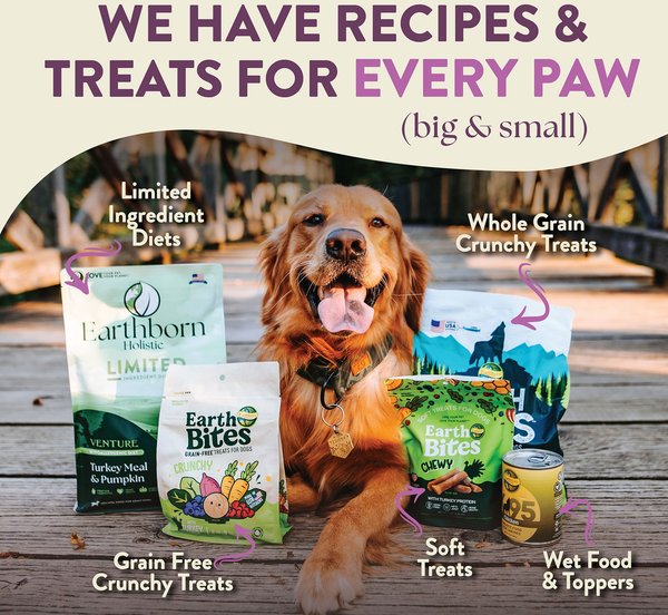 Earthborn Holistic Unrefined Roasted Lamb with Ancient Grains & Superfoods Dry Dog Food