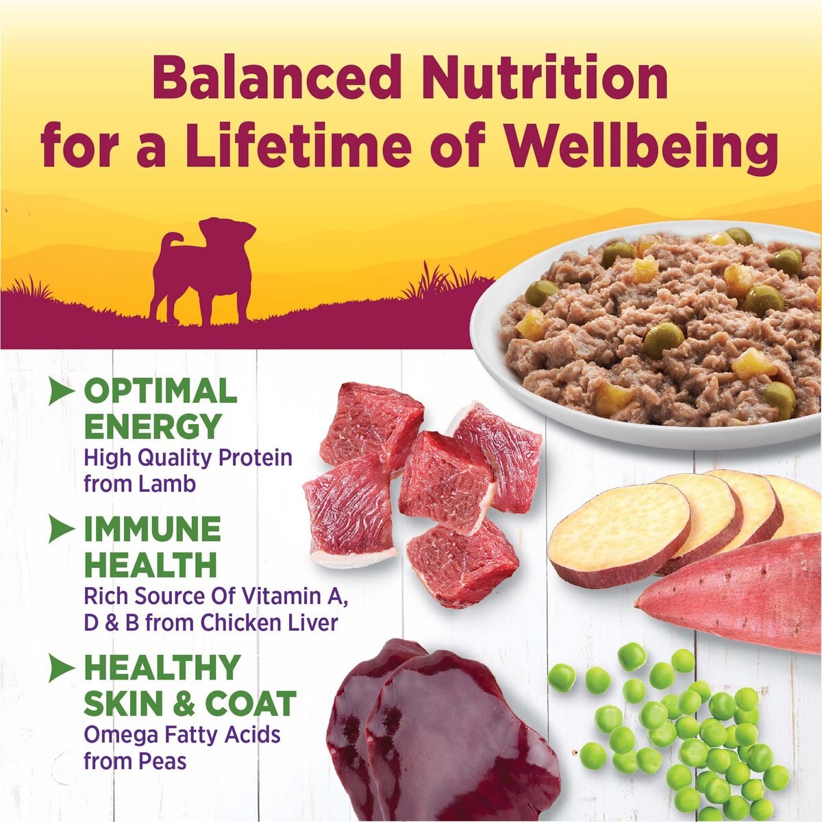 Wellness Petite Entrees Casserole with Roasted Lamb, Peas & White Sweet Potatoes Grain-Free Wet Dog Food