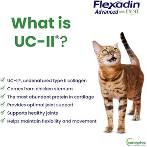 Vetoquinol Flexadin Advanced with UCII Collagen Soft Chews Joint Supplement for Dogs & Cats, 60 count