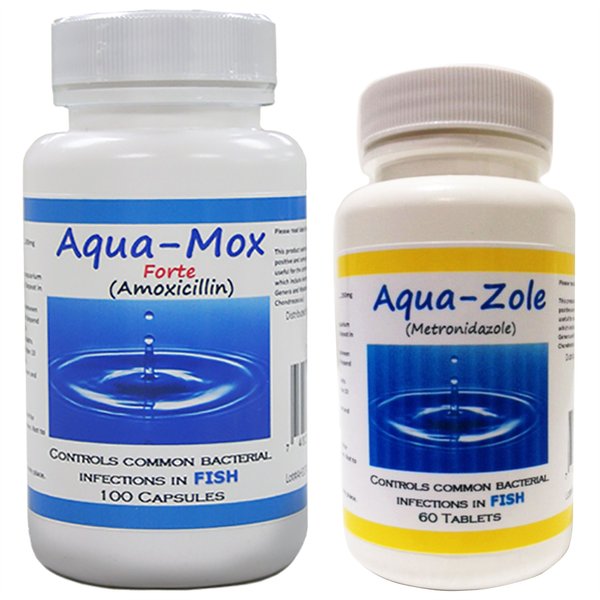 Midland Vet Services Aqua-Mox Forte Amoxicillin Fish Antibiotic, 100 count +  Aqua-Zole Metronidazole Fish Antibiotic, 60 count slide 1 of 5
