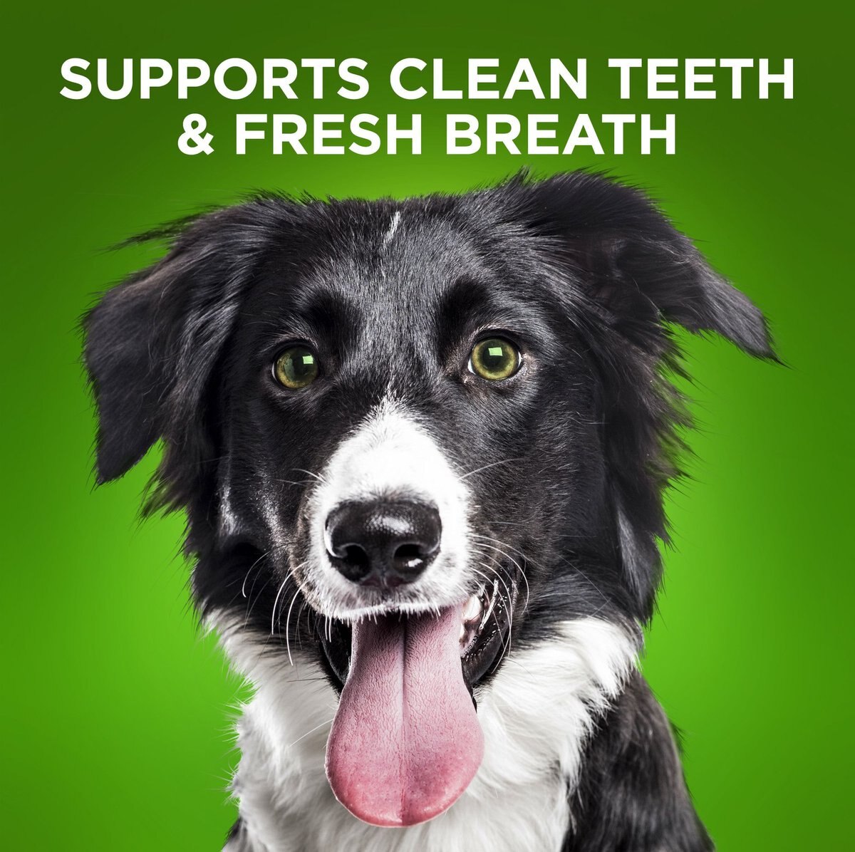 FRUITABLES BioActive Fresh Mouth GrainFree Medium Dental Dog Treats
