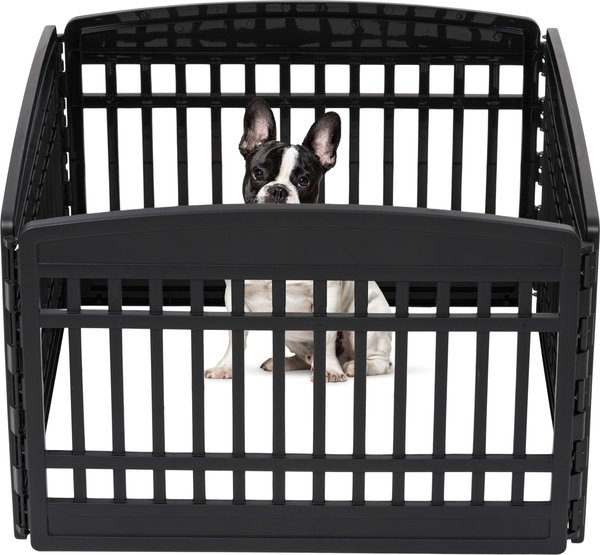 Chewy hotsell puppy playpen