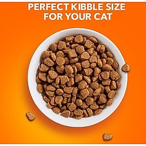Iams ProActive Health Healthy Adult Original with Chicken Dry Cat Food, 22-lb bag