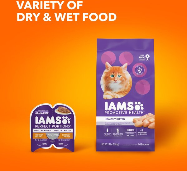 IAMS ProActive Health Kitten Dry Cat Food 16 lb bag Chewy